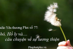 Radio Yêu thương Plus số 77: Chó, Hồ ly và câu chuyện về sự lương thiện