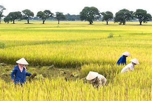 Chuyện của nhà nông Chuyện của nhà nông