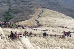 10 địa điểm Ulsan nên ghé thăm khi đến Hàn Quốc