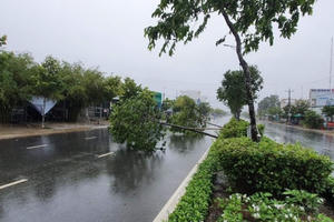 Cà Mau thiệt hại hàng tỷ đồng do ảnh hưởng của hoàn lưu bão số 2 gây ra