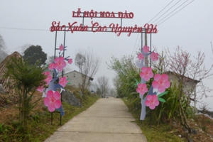 Hà Giang: Hoa Đào kém sắc trong ngày lễ hội, cải vàng rực rỡ  khoe vẻ đẹp kiêu sa