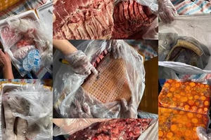 Bắt giữ 20 tấn nội tạng, thịt động vật bốc mùi, không rõ nguồn gốc