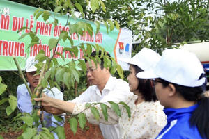 Gia Lai: Ban hành Quy chế hoạt động Ban Chỉ đạo Phát triển lâm nghiệp bền vững