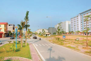 Licogi 14 om tiền của cổ đông Licogi 14 om tiền của cổ đông