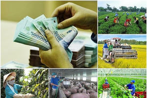 Tháo gỡ khó khăn, vướng mắc khi thực hiện các chương trình mục tiêu quốc gia