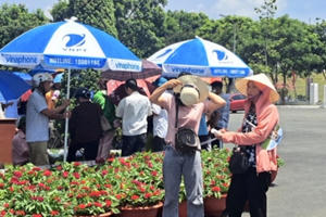 Giải bóng chuyền nữ quốc tế VTV CUP Ferroli 2023: Vé “chợ đen” cao gấp 10 lần Giải bóng chuyền nữ quốc tế VTV CUP Ferroli 2023: Vé “chợ đen” cao gấp 10 lần