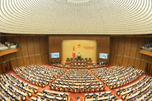 Chi tiết chương trình kỳ họp 11, Quốc hội khoá XIV