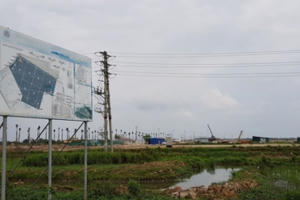 Hưng Yên: Xử phạt 3 doanh nghiệp san lấp đất trồng lúa trái phép