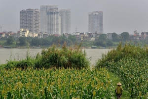 Phương án sơ bộ sử dụng đất tại 8 khu vực bãi sông Hồng: Khả thi với cách tiếp cận mới