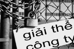 Cứ 10 doanh nghiệp mới, có 6 doanh nghiệp 'chết lâm sàng'