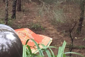 Thanh Hóa: Phát hiện kỹ sư Hàn Quốc tử vong tại rừng phi lao