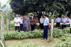 Hà Giang: Huyện Quang Bình phấn đấu đến năm 2025 đạt chuẩn Nông thôn mới