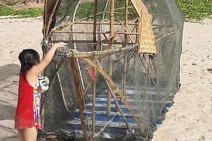 Những đứa trẻ lên tiếng và 'sự khùng' lây lan...