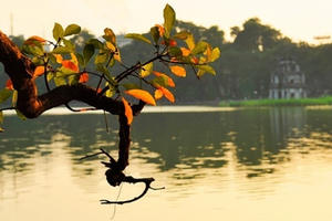 Dự báo thời tiết ngày 17/2: Bắc và Nam Bộ nắng ráo