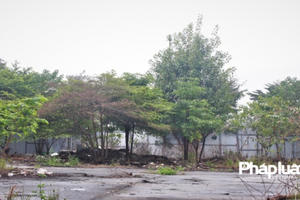 "Đắp chiếu" 12 năm, dự án của AIC vẫn không bị thu hồi