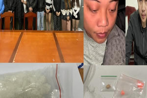 Triệt xoá các điểm phức tạp về ma túy ở Thanh Hoá