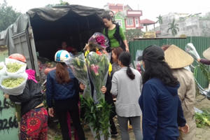 Hà Nội: Hoa ly rớt giá thê thảm, người dân rủ nhau "giải cứu"