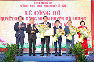 Nghệ An: Huyện Đô Lương đón nhận Bằng công nhận đạt chuẩn huyện Nông thôn mới