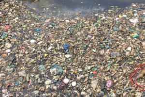 TPHCM: Mỗi ngày vớt hàng chục tấn rác trên 4 con kênh