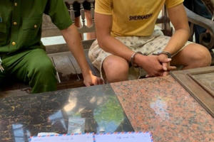 Hà Tĩnh: Tàng trữ trái phép chất ma túy, 2 đối tượng bị khởi tố