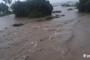 Đắk Lắk: Những hình ảnh xót xa từ vùng rốn lũ Ea Súp