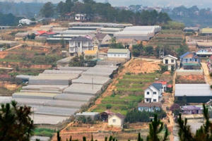 Địa ốc 6AM: Đà Lạt 'ngộp thở' vì nhà kính; Cận cảnh những dự án của IPC bị chuyển sang cơ quan điều tra