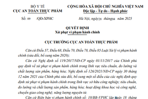 Công ty CP Dịch vụ Khoa học Công nghệ Thế Kỷ Mới và Công ty TNHH Công nghệ NHONHO bị xử phạt