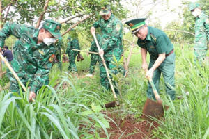 Bộ đội Biên phòng Đắk Nông phát động tết trồng cây "Đời đời nhớ ơn Bác Hồ"