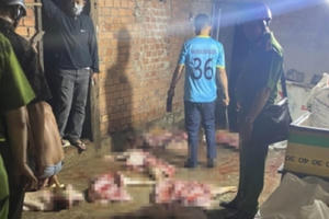 Đắk Nông: Gần 1 tấn thịt heo hôi thối đang sơ chế, chuẩn bị bán ra thị trường