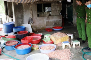 Mua tôm chết bốc mùi về chế biến thành tôm nõn bán ra thị trường