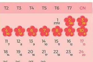 Tết Âm lịch Kỷ Hợi người lao động được nghỉ 9 ngày