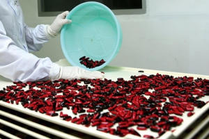 Trúng thầu cung ứng thuốc, vì đâu nhà thầu 'bỏ cuộc'?