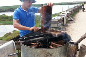 Ninh Bình: Nghề đưa ong đi tìm mật kiếm vài chục triệu mỗi tháng Ninh Bình: Nghề đưa ong đi tìm mật kiếm vài chục triệu mỗi tháng