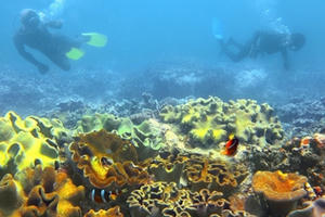 Trưng bày triển lãm ảnh "Khám phá Việt Nam" tại Hà Nội