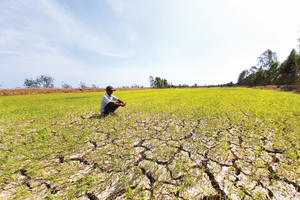 Hà Nội: Tăng cường thực hiện các biện pháp phòng, chống nắng nóng, hạn hán, thiếu nước