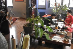 Chào xuân Plus: Độc đáo không gian thư pháp giữa lòng Hà Nội