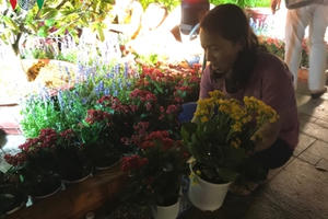 Dân đổ xô lấy hoa trong đêm thu dọn đường hoa Nguyễn Huệ ​