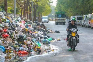 Tin kinh tế 6AM: "Hồ sơ" về ông trùm thu gom rác Minh Quân; Tiền đang "ngập" thị trường chứng khoán