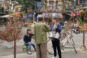 Chợ hoa Hà Nội vào vụ Tết