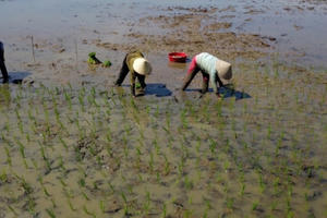 Bắc Bộ thời tiết ấm dần, Nam Bộ nắng nóng trên diện rộng Bắc Bộ thời tiết ấm dần, Nam Bộ nắng nóng trên diện rộng