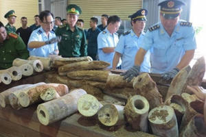 Phát hiện gần chục tấn hàng hóa nghi là ngà voi tại cảng Tiên Sa