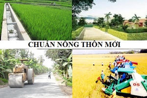 Hà Nội: Lập hội đồng, đoàn thẩm định xã đạt chuẩn nông thôn mới