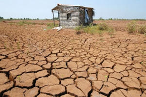 Giáo sư Trần Thục, Chủ tịch Hội Khí tượng thủy văn Việt Nam: Nguy cơ mất mùa lũ dẫn đến hạn hán ở ĐBSCL