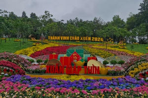 Vườn hoa nghệ thuật TP Vinh - điểm đến hấp dẫn dịp tết Nguyên đán