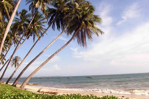 Bình Thuận: Kiên quyết thu hồi các dự án chậm triển khai