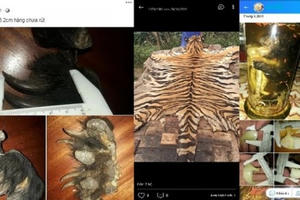 Mua bán động vật hoang dã trên mạng bị xử lý thế nào?