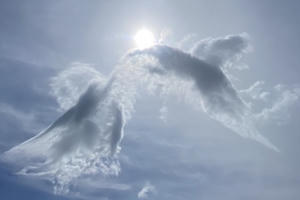 Kỳ thú hình mây cá chép hóa rồng trên đỉnh Núi Bà Đen Tây Ninh