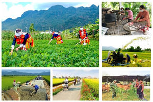 Thành lập Ban Chỉ đạo Trung ương các chương trình mục tiêu quốc gia giai đoạn 2021 - 2025