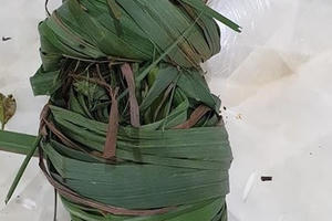 GS. TS Nguyễn Anh Trí chia sẻ không lo đau ốm lúc giao mùa chỉ nhờ nồi lá xông của mẹ