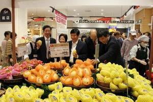 Những nông sản Việt 'đắt như vàng' khi xuất sang Nhật